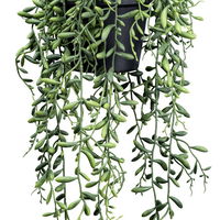 Kunstpflanze Senecio herreianus im Hängetopf, Höhe ca. 55 cm