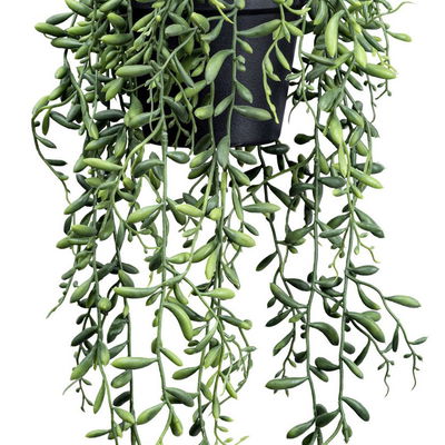 Kunstpflanze Senecio herreianus, Höhe ca. 55 cm Kunstpflanze Senecio herreianus, Höhe ca. 55 cm