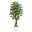 Kunstpflanze Weeping-Ficus, Naturstamm, ca. 720 Blätter, Höhe ca. 150 cm