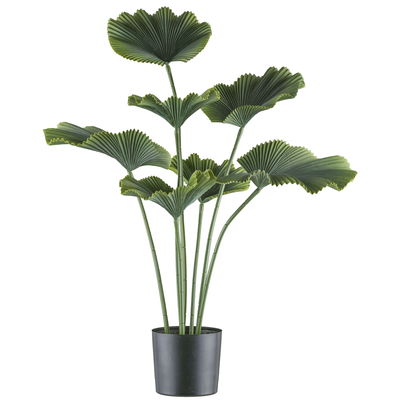 Kunstpflanze Strahlenpalme, Höhe ca. 100 cm Kunstpflanze Strahlenpalme, Höhe ca. 100 cm
