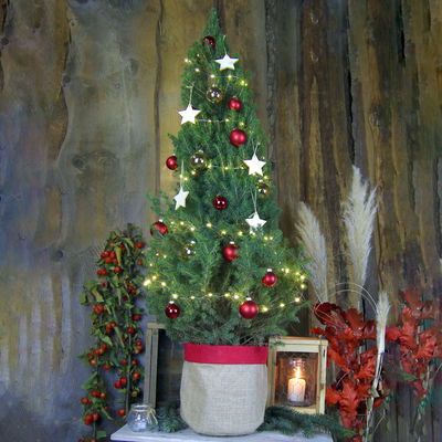 Weihnachtsbäumchen inkl. Deko, rot-gold, Höhe 120 cm, Topf-Ø 26 cm Weihnachtsbäumchen inkl. Deko, rot-gold, Höhe 120 cm, Topf-Ø 26 cm