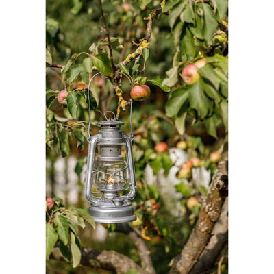 Sturmlaterne 'Baby Special 276', verzinkt, 26,5 x 13,5 x 15 cm Sturmlaterne 'Baby Special 276', verzinkt, 26,5 x 13,5 x 15 cm