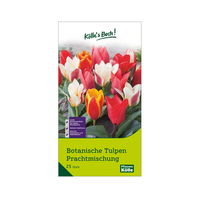 Botanische Tulpen 'Prachtmischung', 25 Blumenzwiebeln