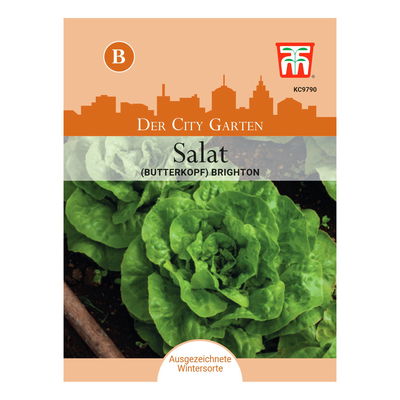 Gemüsesamen, Butterkopfsalat 'Brighton', grün, 75 Stück