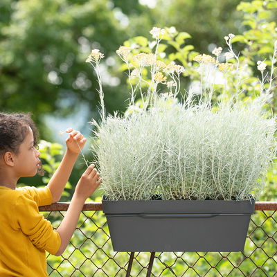 Pflanzkasten 'Like', grau Pflanzkasten 'Like', grau