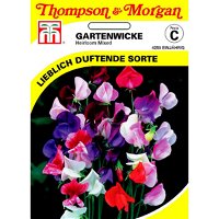 Thompson & Morgan Blumensamen Gartenwicke Heirloom Mischung