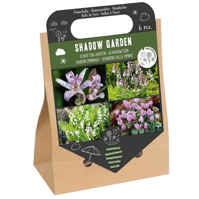Nützliche Blumenzwiebelmischung 'Schattengarten' Nützliche Blumenzwiebelmischung 'Schattengarten'