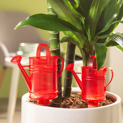 Scheurich Wasserspeicher 'Nelly', rot, 240 ml Scheurich Wasserspeicher 'Nelly', rot, 240 ml