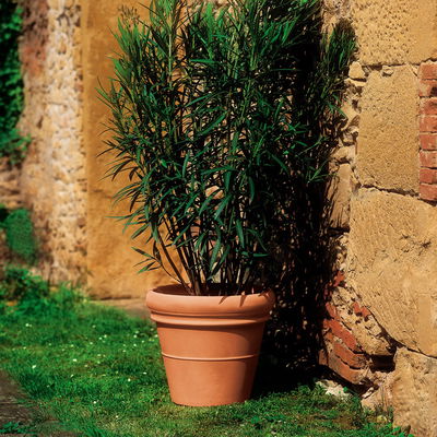 Euro 3 Plast Pflanzkübel 'Doppio Bordo', terra, ca Ø 77 x H 61 cm