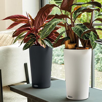 Lechuza 'Cilindro Color 32', schiefergrau, ca. Ø 32 x H 56 cm