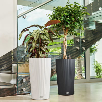 Lechuza 'Cilindro Color 32', weiß, ca. Ø 32 x H 56 cm Lechuza 'Cilindro Color 32', weiß, ca. Ø 32 x H 56 cm