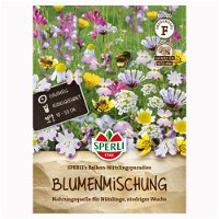 Blumensamenmischung 'Sperli’s Balkon Nützlingswiese', bunt