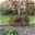 Bellissa Hortensienstütze 'ANNABELLE', 2er-Set, grün, H60 x L65 x L57 cm