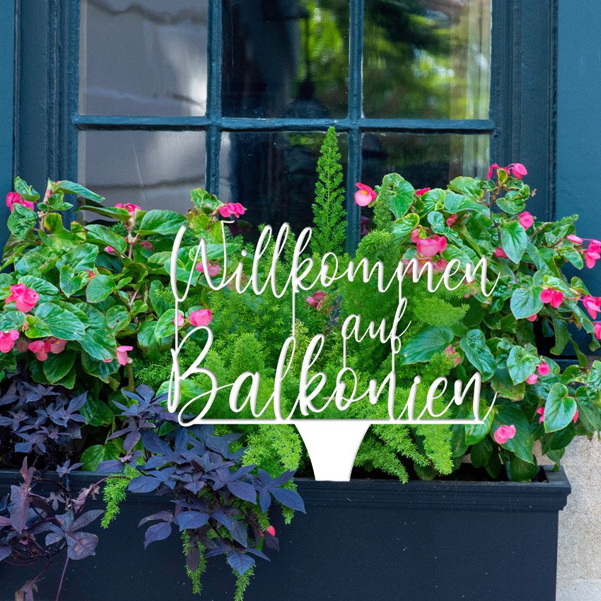 Illumino Blumenstecker 'Willkommen auf Balkonien'