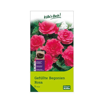 Gefüllte Begonie, rosa, 3 Blumenknollen