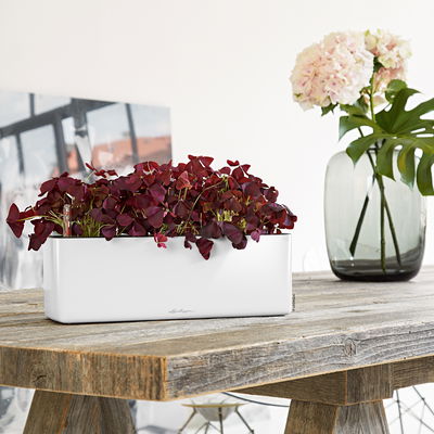 Lechuza 'Cube Glossy Triple', weiß highgloss, ca. 14 x 40 x H 13,5 cm