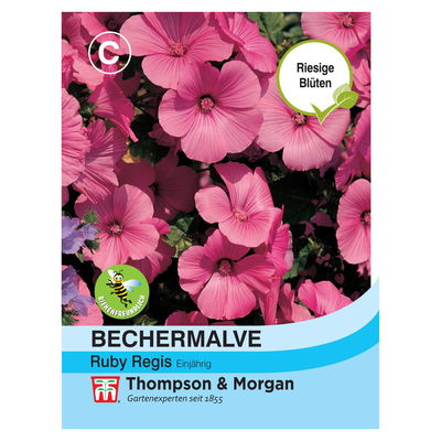Blumensamen, Bechermalve 'Ruby Regis', rosa, 70 Stück Blumensamen, Bechermalve 'Ruby Regis', rosa, 70 Stück