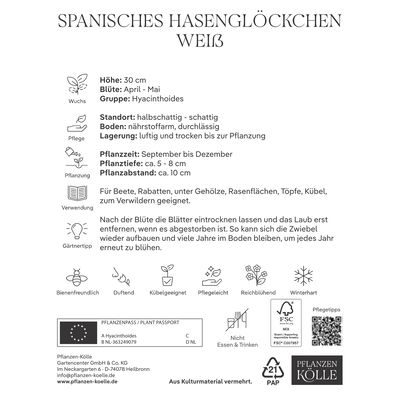 Waldhyazinthen (Hyacinthoides Hispanica) weiß, 10 Blumenzwiebeln Waldhyazinthen (Hyacinthoides Hispanica) weiß, 10 Blumenzwiebeln