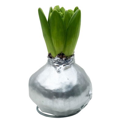 Hyazinthe in Wachs silber metallic, 4 Stück