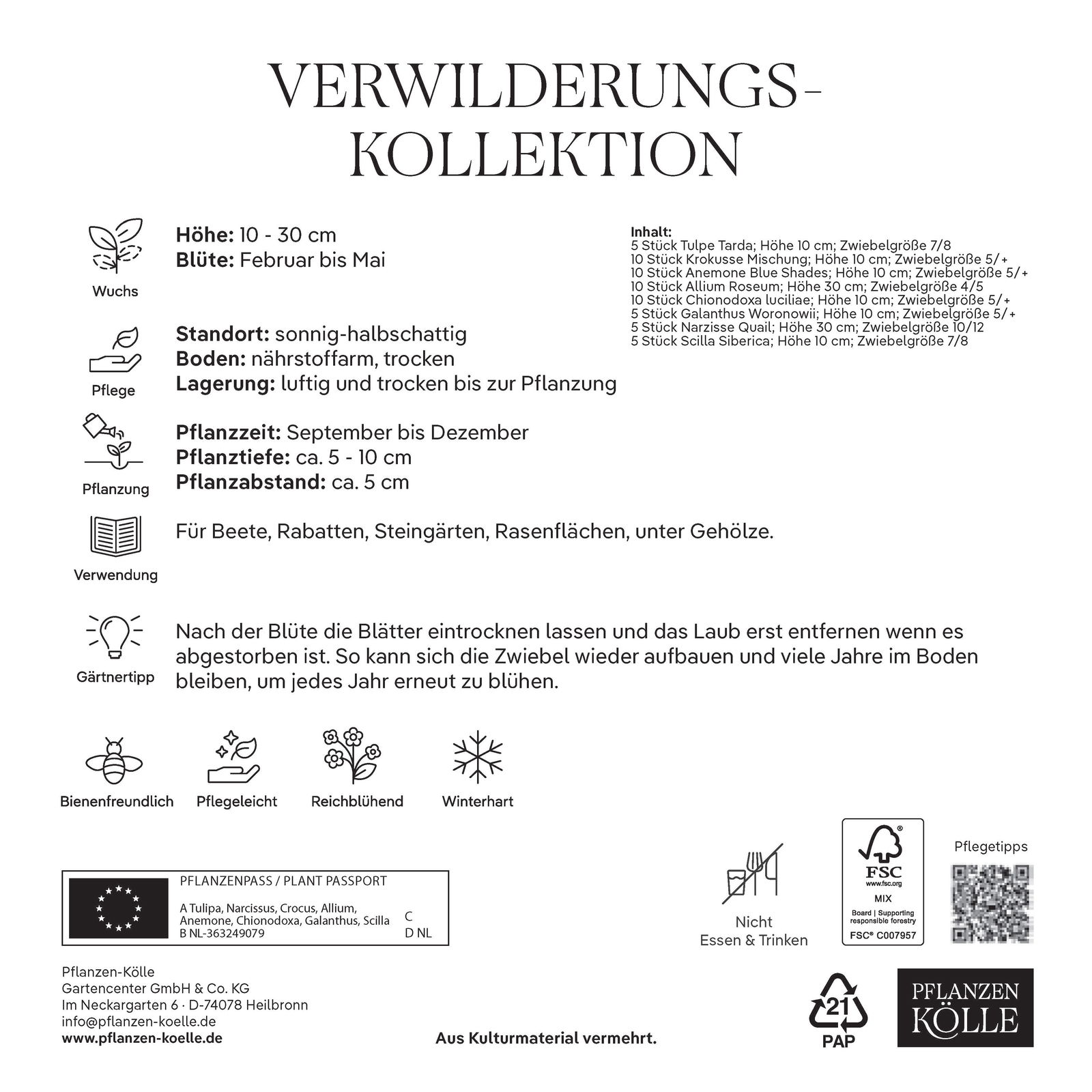Verwilderungs-Kollektion 60 Blumenzwiebeln