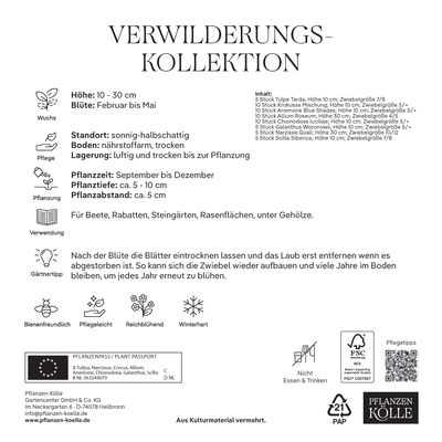 Verwilderungs-Kollektion 60 Blumenzwiebeln