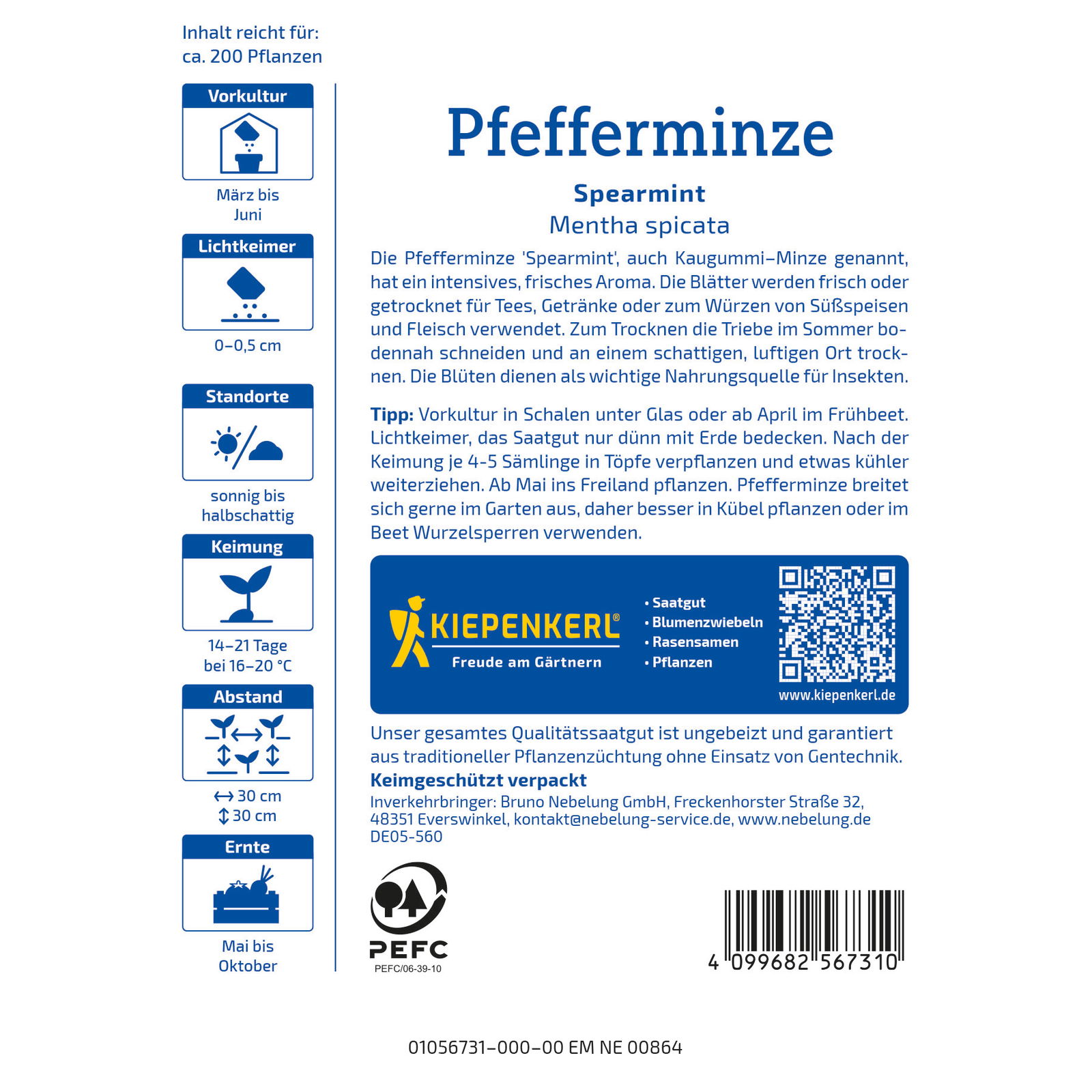 Kiepenkerl Saatgut Pfefferminze 'Spearmint', grün