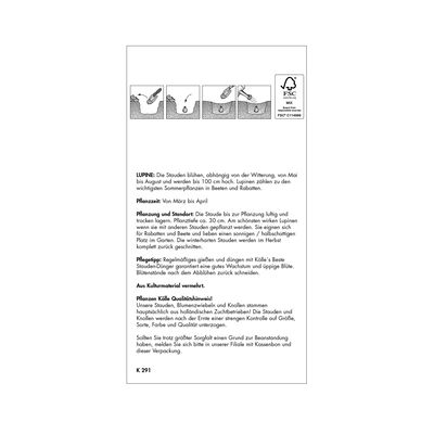 Lupinen Mischung, 3 Blumenzwiebeln