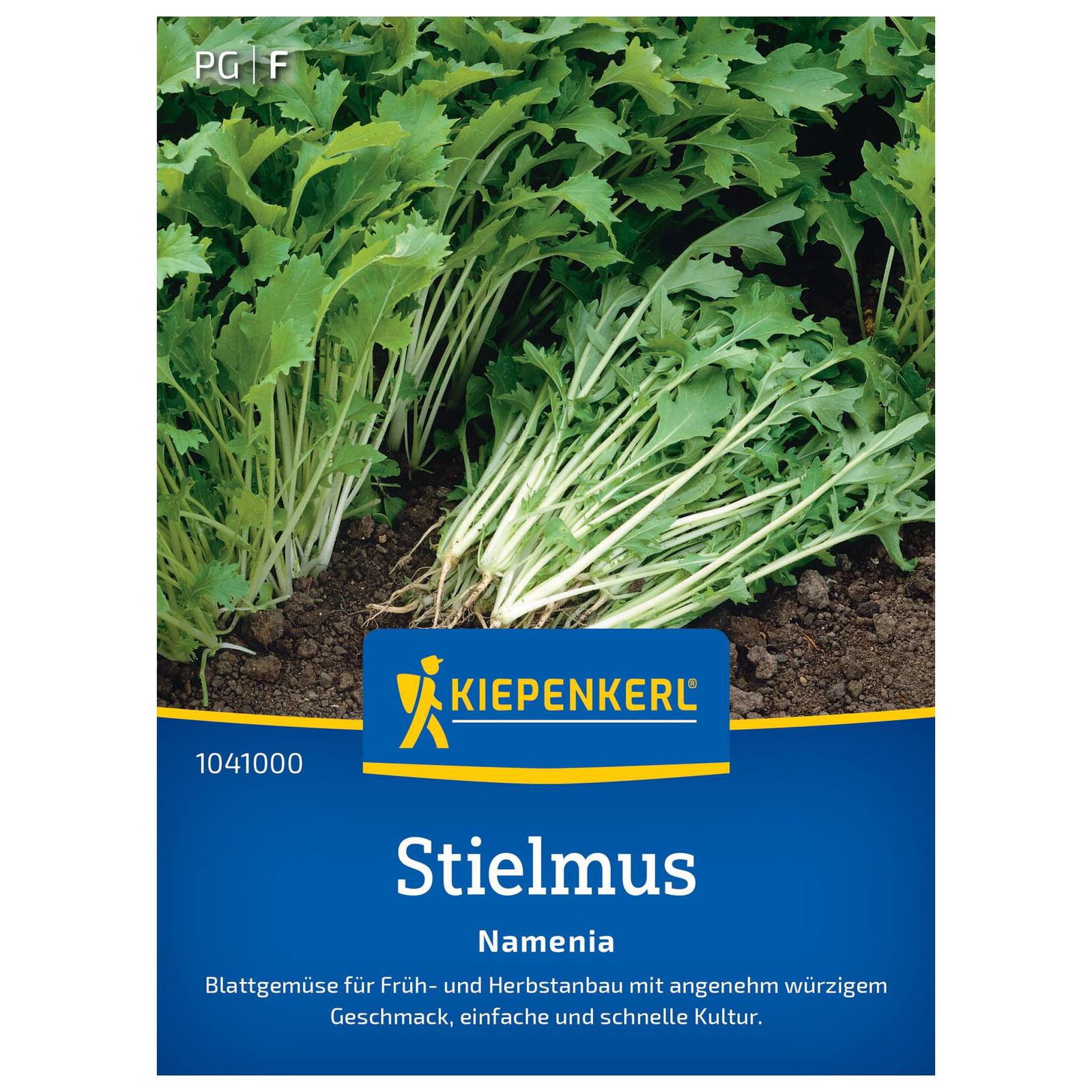 Saatgut, Rübstiel, Stielmus 'Namenia'