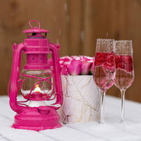 Sturmlaterne 'Baby Special 267', magenta, 26,5 x 13,5 x 15 cm Sturmlaterne 'Baby Special 267', magenta, 26,5 x 13,5 x 15 cm