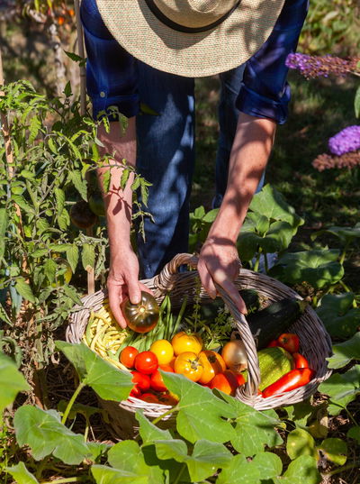 Compo Bio Obst- & Gemüsedünger, 1 Liter Compo Bio Obst- & Gemüsedünger, 1 Liter