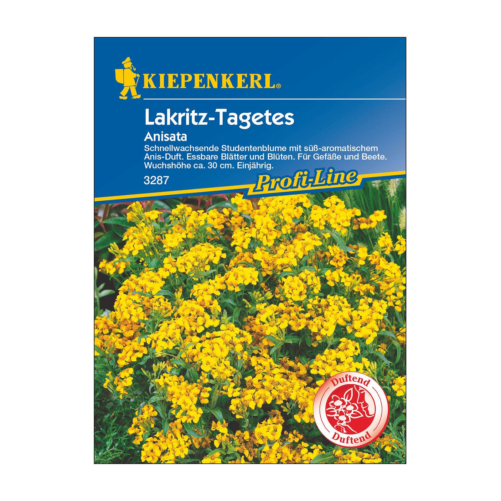 Blumensamen, Lakritz-Tagetes 'Anisata'