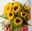 10 Sonnenblumen