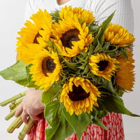 10 Sonnenblumen