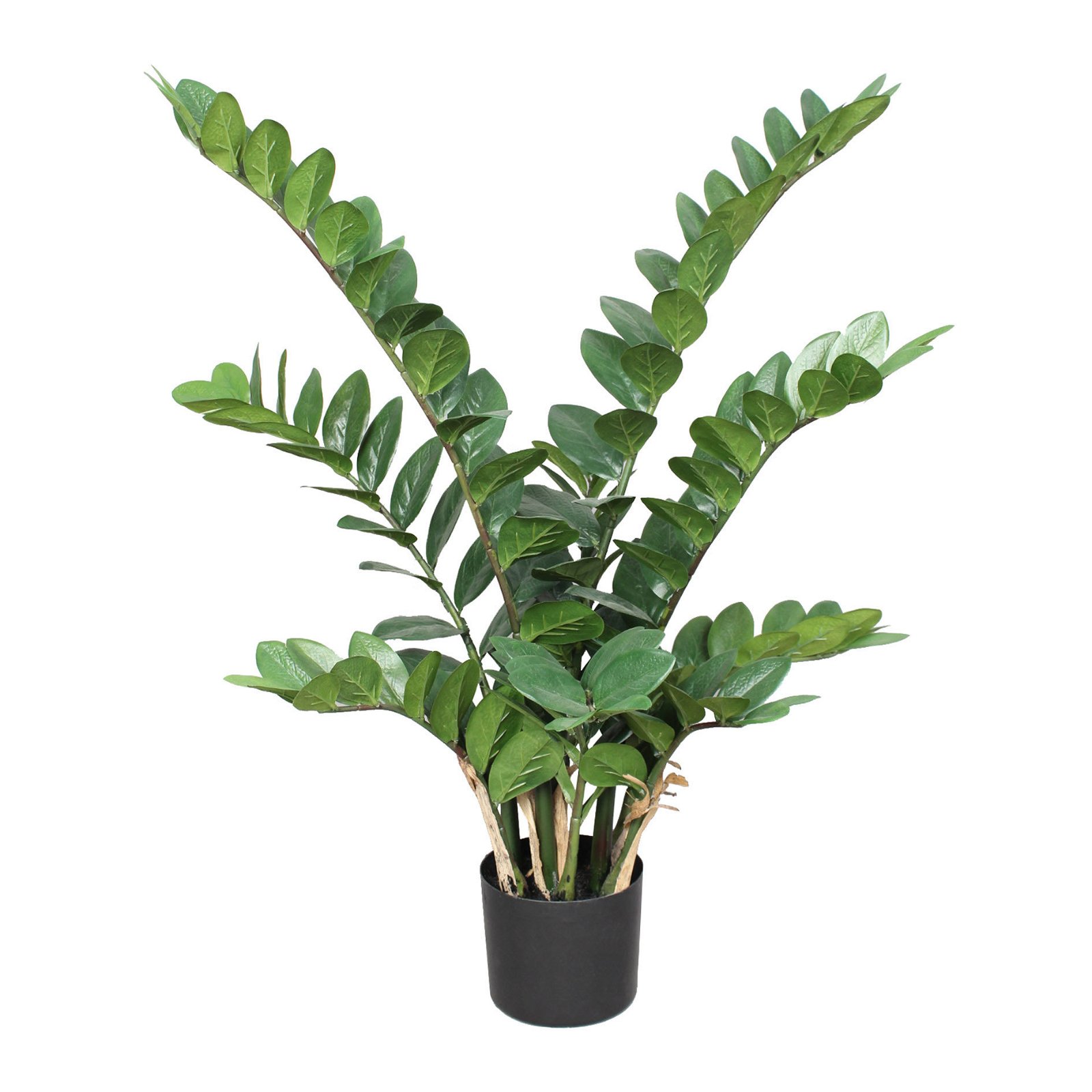 Kunstpflanze Zamifolia mit ca. 166 Blättern, im Kunststofftopf, ca. 90 cm