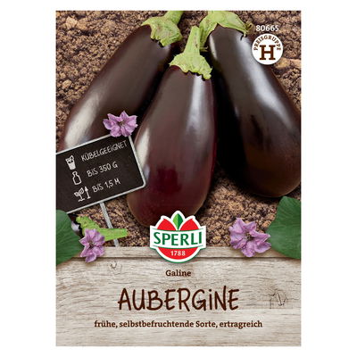 Saatgut Aubergine 'Galine' Saatgut Aubergine 'Galine'