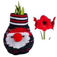 Amaryllis in Wachs,XL, Weihnachtspullover Muster nach Verfügbarkeit