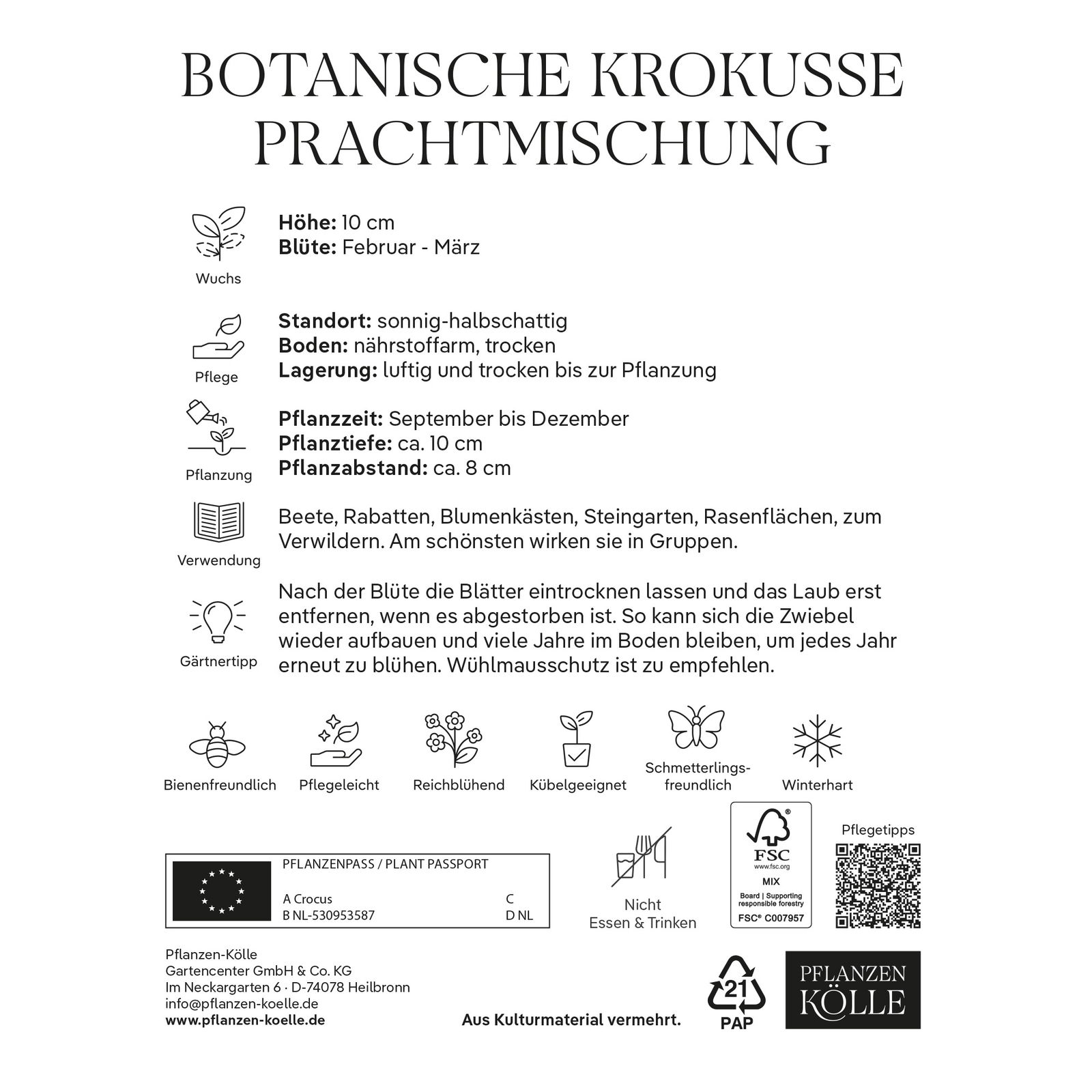 botanische Krokusse 'Prachtmischung', Farbmix, 25 Blumenzwiebeln