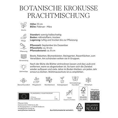 botanische Krokusse 'Prachtmischung', Farbmix, 25 Blumenzwiebeln botanische Krokusse 'Prachtmischung', Farbmix, 25 Blumenzwiebeln