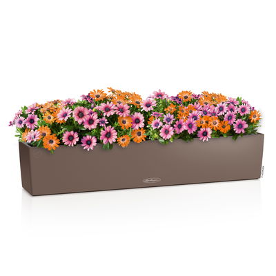 Lechuza 'Balconera Color 100', muskat, ca. 99 x 19 x H 19 cm