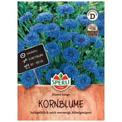 Blumensamen, Kornblume 'Blauer Junge', blau