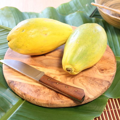 Blu Bio Papayapflanze, Topf-Ø 12 cm, 2er Set Blu Bio Papayapflanze, Topf-Ø 12 cm, 2er Set