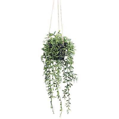 Kunstpflanze Senecio herreianus, Höhe ca. 55 cm Kunstpflanze Senecio herreianus, Höhe ca. 55 cm