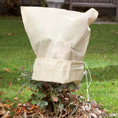 Kölles Beste Kübelpflanzen-Sack 'Spezial-Plus', beige, B80 x H100 cm Kölles Beste Kübelpflanzen-Sack 'Spezial-Plus', beige, B80 x H100 cm