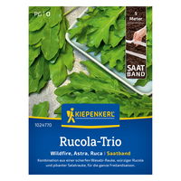 Kiepenkerl Saatband Rucola-Trio