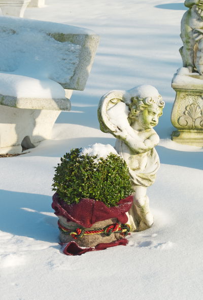 Winterschutz Jutesack, waldbeere, 80 x 60 cm