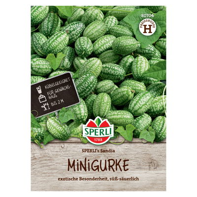 Saatgut Minigurke 'Sandia' Saatgut Minigurke 'Sandia'