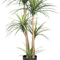 Künstliche Dracaena, Höhe ca. 160 cm