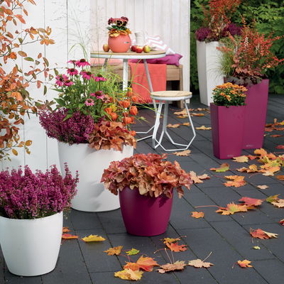 Lechuza 'Classico Color 21', weiß, ca. Ø 21,5 x H 20,5 cm Lechuza 'Classico Color 21', weiß, ca. Ø 21,5 x H 20,5 cm