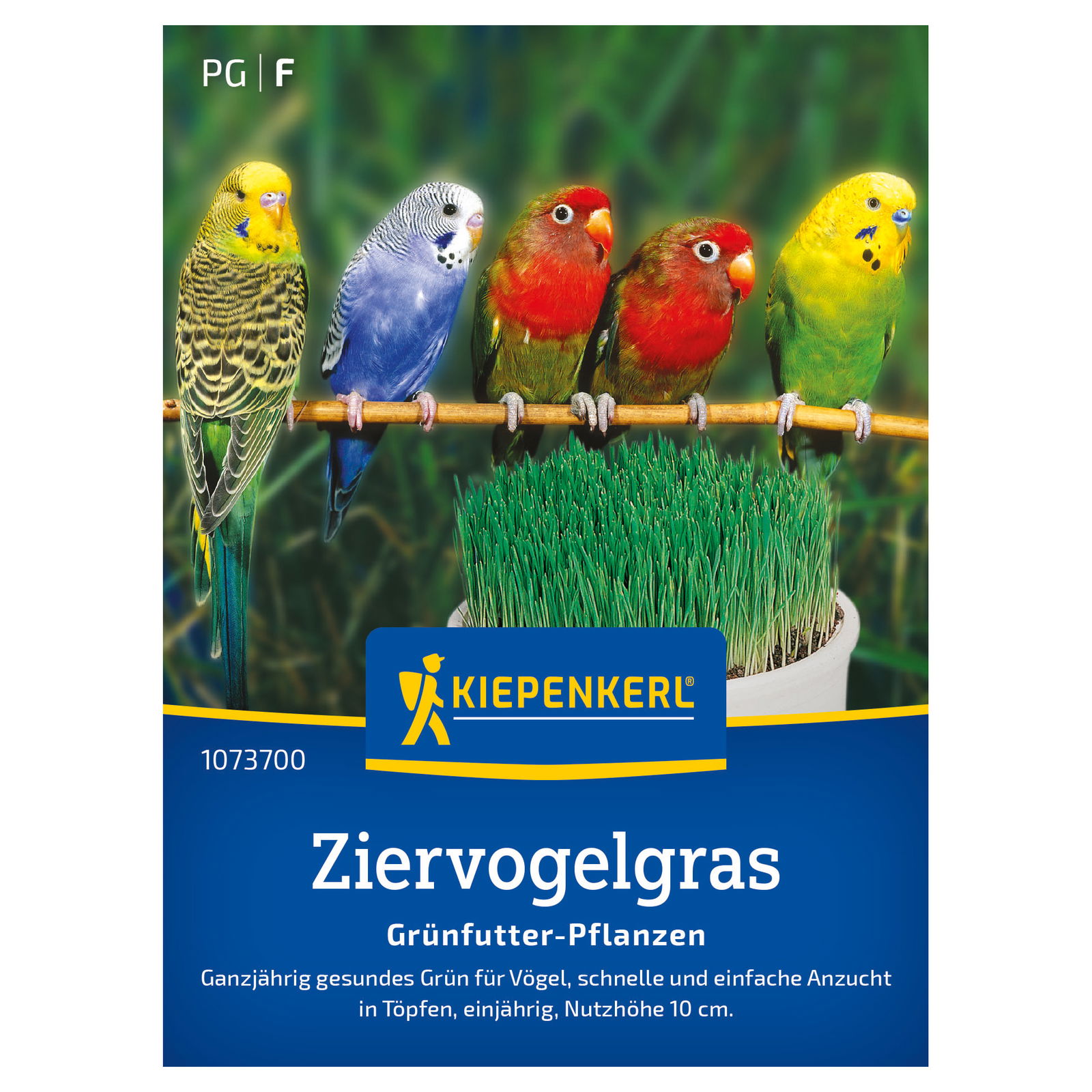 Kiepenkerl Saatgut Ziervogelgras 'Frischgrün', Vogelmiere, grün