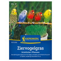 Kiepenkerl Saatgut Ziervogelgras 'Frischgrün', Vogelmiere, grün